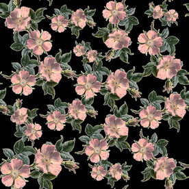 英式复古玫瑰花卉艺术装饰PNG