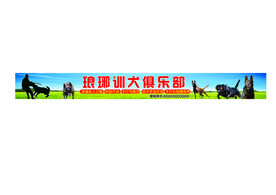 训犬狗