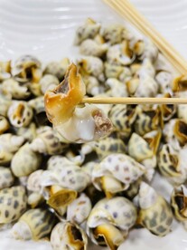 白灼花螺