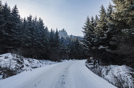 被雪覆盖的公路