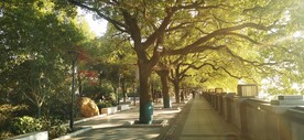 沿江风光带