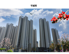 城市建筑楼房图片