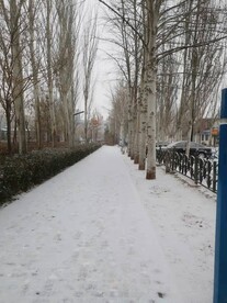 雪景