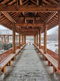 雪景