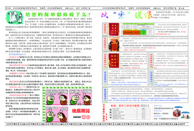 保险知识宣传