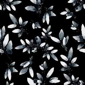 粉色花型叶子植物