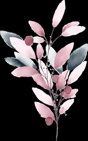 粉色花型叶子植物