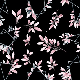 粉色花型叶子植物