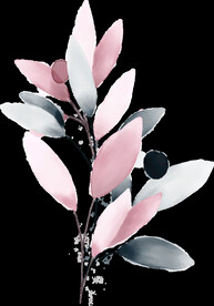 粉色花型叶子植物