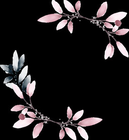 粉色花型叶子植物