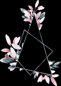 粉色花型叶子植物