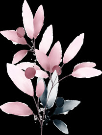 粉色花型叶子植物