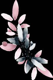 粉色花型叶子植物 