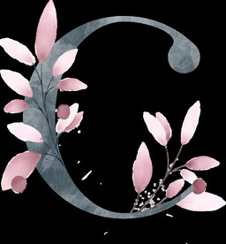 粉色花型叶子植物字母C