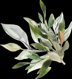 橘黄色阳光花卉贺卡婚礼装饰图案