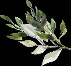 橘黄色阳光花卉贺卡婚礼装饰图案