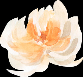 橘黄色阳光花卉贺卡婚礼装饰图案