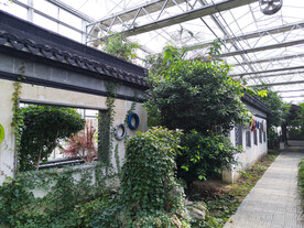 农业科技馆徽派建筑窗格