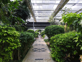 现代化农业室内绿植