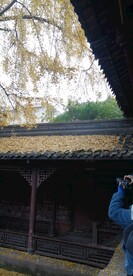 崇州罨画池