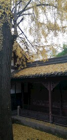 崇州罨画池