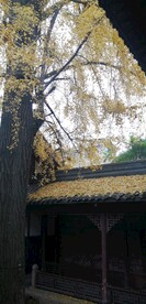 崇州罨画池