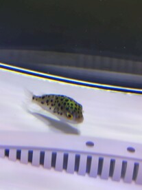 潜水艇