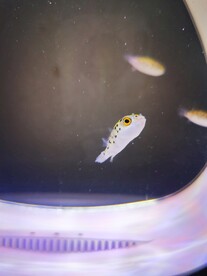 潜水艇