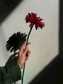 手拿花