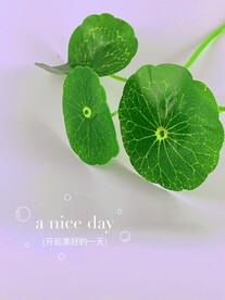 开启美好