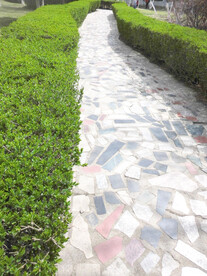 路 