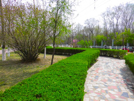 路