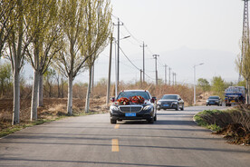迈巴赫 奔驰 婚车 玫瑰 车饰