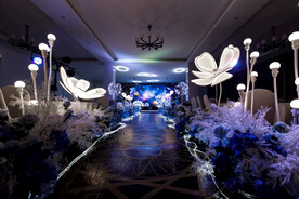 蓝色星空婚礼照片