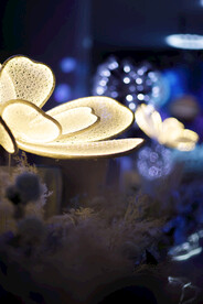 婚礼荷花灯鲜花