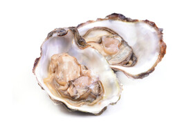 生蚝