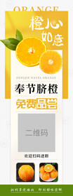 橙子