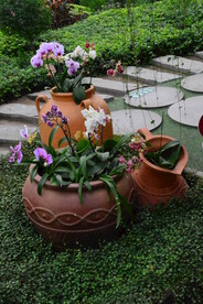 温室花草 