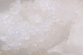 马来西亚滋补品燕盏泡发高清图片