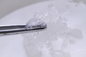 马来西亚滋补品燕窝挑毛高清图片