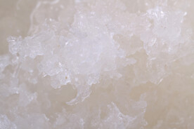 马来西亚滋补品燕盏泡发高清图片