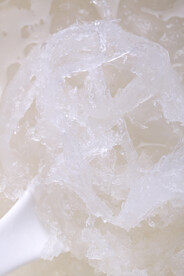 马来西亚滋补品燕盏泡发高清图片