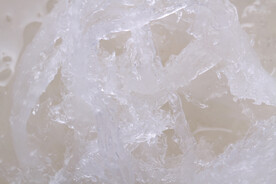 马来西亚滋补品燕盏泡发高清图片