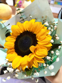 泰迪向日葵花语花束花朵