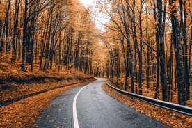 道路