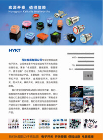 开关公司介绍产品单页