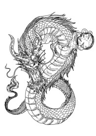龙