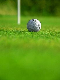 高尔夫球