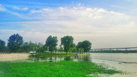 黄河湿地公园 