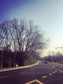 公路